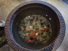 -帅巴人舅母子腊蹄民俗村