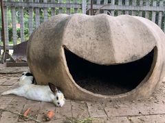 -意大利农场度假村