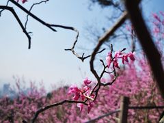 -天台山赤城山景区
