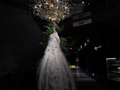 -滇野云南野生菌餐厅(陕西南路店)