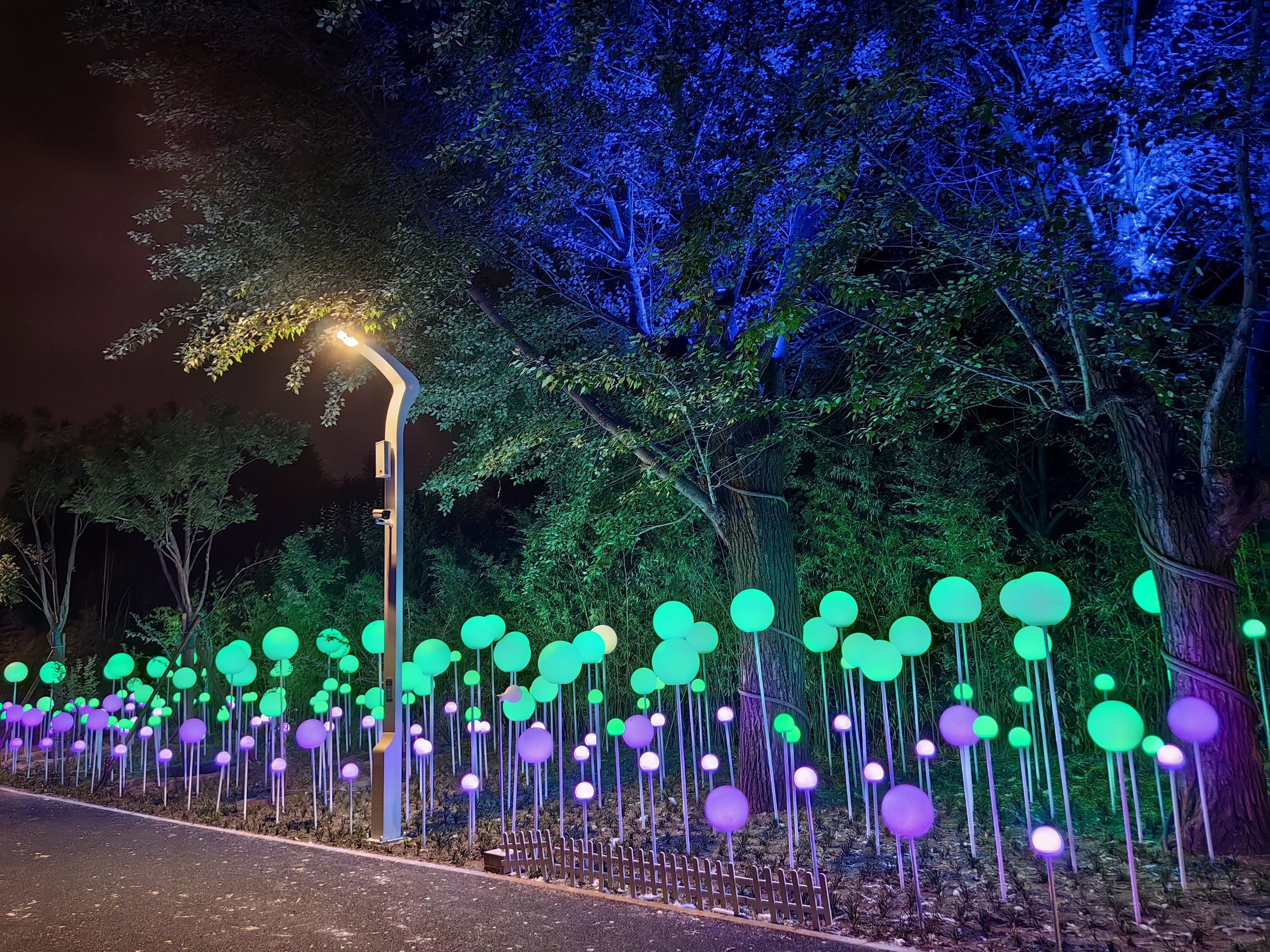 灯光闪烁步行时