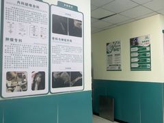 -乖乖宠物医院·猫科·急重症中心(车站北路分院)