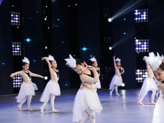 -舞蕾舞蹈(特长生校区)