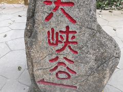 -茅兰沟国家森林公园