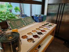 -先机泉水鸡汤(南山老君洞店)