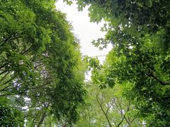 -中国邮政储蓄银行(东新路支行)