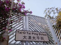 -大澳