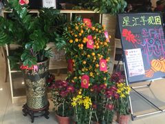 -星河国际影城(新会店)