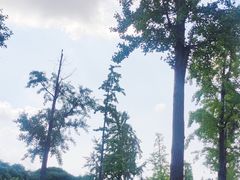 -明故宫遗址公园