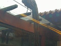 -舜耕山庄四时万和自助餐厅