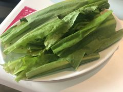 油麦菜-鱼酷活鱼烤鱼(中联广场店)