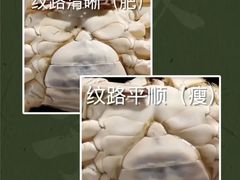 -盒马鲜生(帝斯曼店)