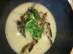 -岩泊渡桂鱼楼活鱼馆