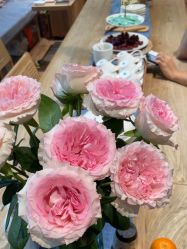 -卡莫瑜伽·普拉提