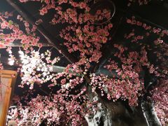 -黄家码头老火锅(解放碑旗舰店)