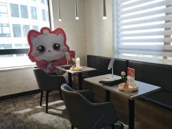 -上海玫瑰医疗美容医院