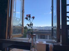 -蘑统田下·野生菌火锅