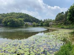 -广州市石门国家森林公园