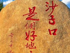 -单家老院·院子里的青岛菜(沙子口店)