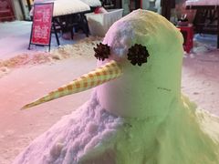 -龙江大舞台旗舰店