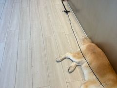 -YCHL Studios健身工作室(市二宫店)