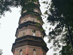 -惠州泗洲塔