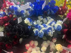 -荷兰花海