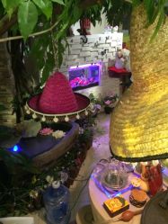 水玉星合养生天地-克丽缇娜