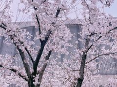 -龙美术馆(西岸馆)