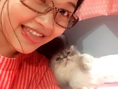-藦茜花园宠物主题亲子互动体验馆(国顺东路店)