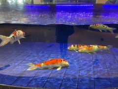 -鹏天阁酒楼·海鲜(红旗店)