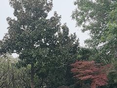 -云龙湖旅游景区