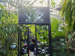 -正佳雨林生态植物园