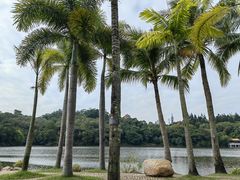 -深圳仙湖植物园