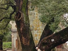 -上坦村