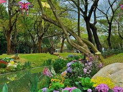 -人民公园(罗湖区)