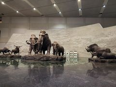 -大庆市博物馆