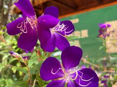 -墨江北回归线标志园