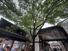 -乌镇东栅景区