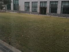 -曲江惠宾苑宾馆(大雁塔大唐不夜城店)