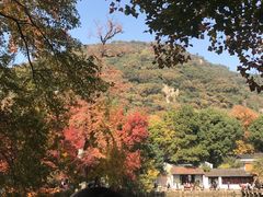 -白马涧龙池景区