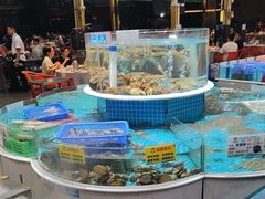 -皮记海鲜1995(寮步店)