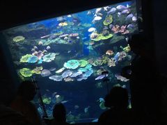 -暹罗海洋世界
