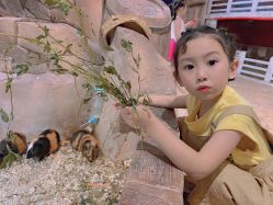 -宝燕乐园(闵行旗舰店)