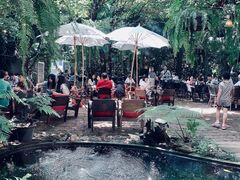 -Fern Forest Cafe