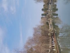 -九科绿洲