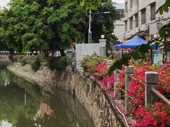 -晓港公园