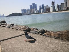 -海云台海滩