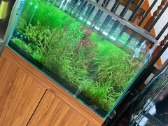 -繁花足道(梅江店)