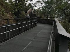 -福道